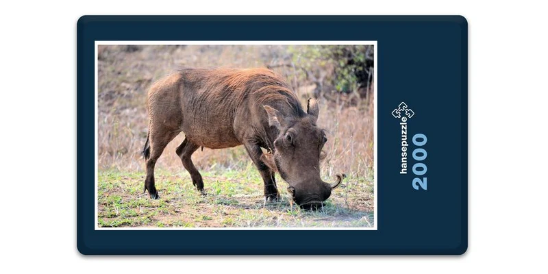 18275 Natur - Warzenschwein Puzzle