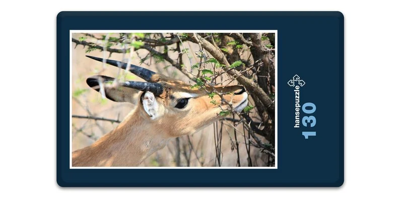 18293 Natur - Riedbock Puzzle