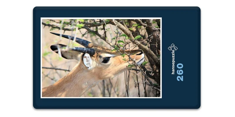18293 Natur - Riedbock Puzzle