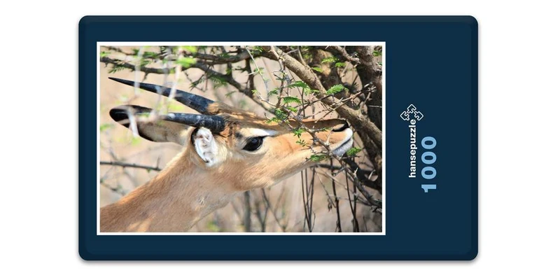 18293 Natur - Riedbock Puzzle