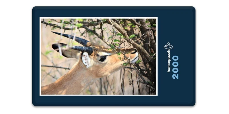 18293 Natur - Riedbock Puzzle