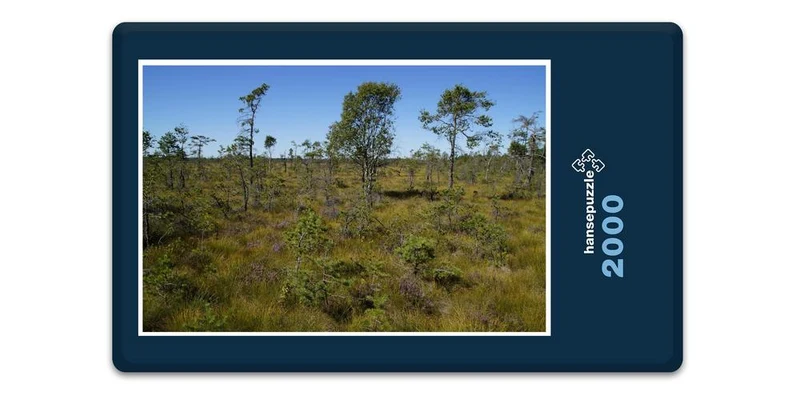 18404 Natur - Moorlandschaft Puzzle