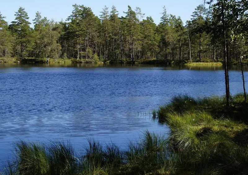 18417 Natur - Moorlandschaft Puzzle