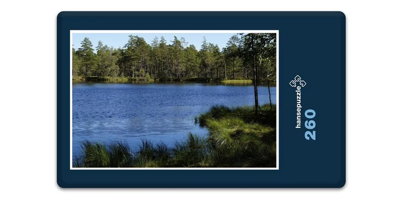 18417 Natur - Moorlandschaft Puzzle