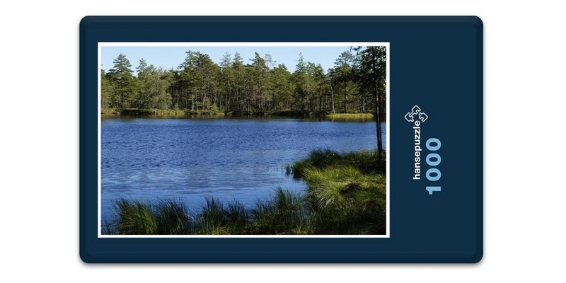 18417 Natur - Moorlandschaft Puzzle