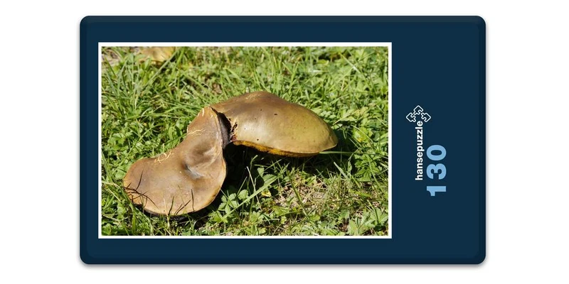 18413 Natur - Pilz Puzzle