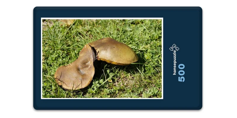 18413 Natur - Pilz Puzzle