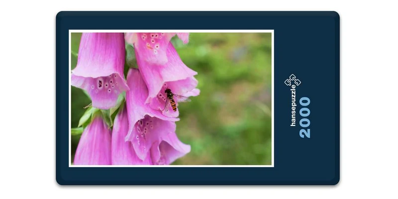 18386 Natur - Fingerhut Puzzle