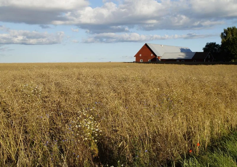 18408 Natur - Bauernhof Puzzle