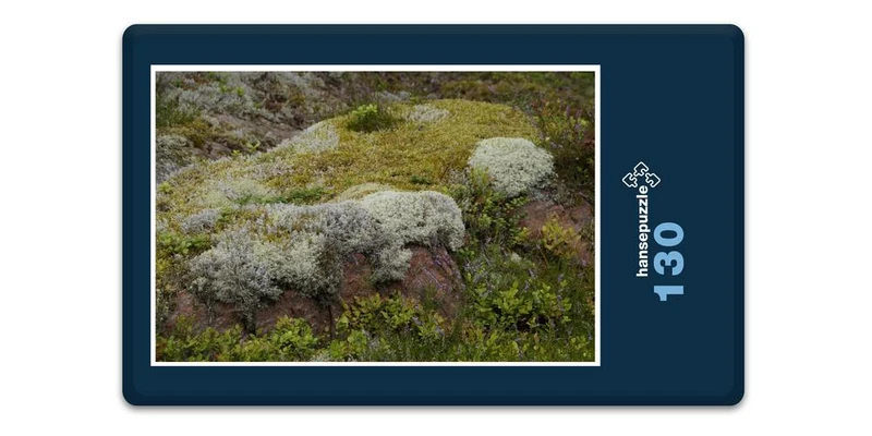 18380 Natur - Steinlandschaft Puzzle
