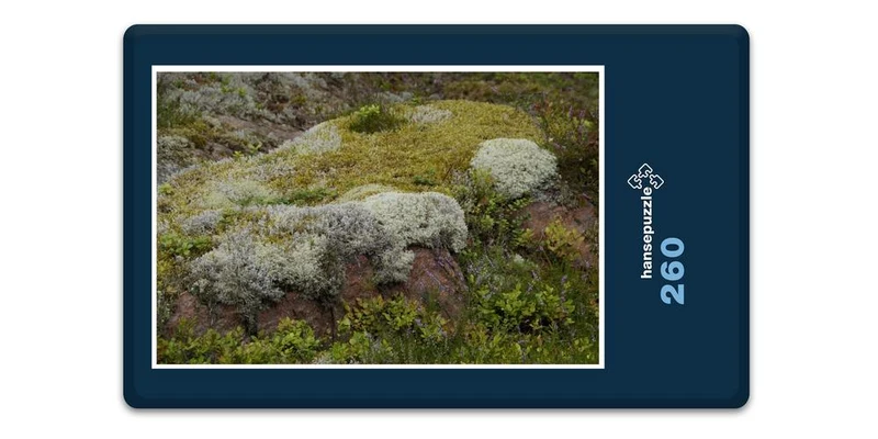 18380 Natur - Steinlandschaft Puzzle