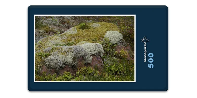18380 Natur - Steinlandschaft Puzzle