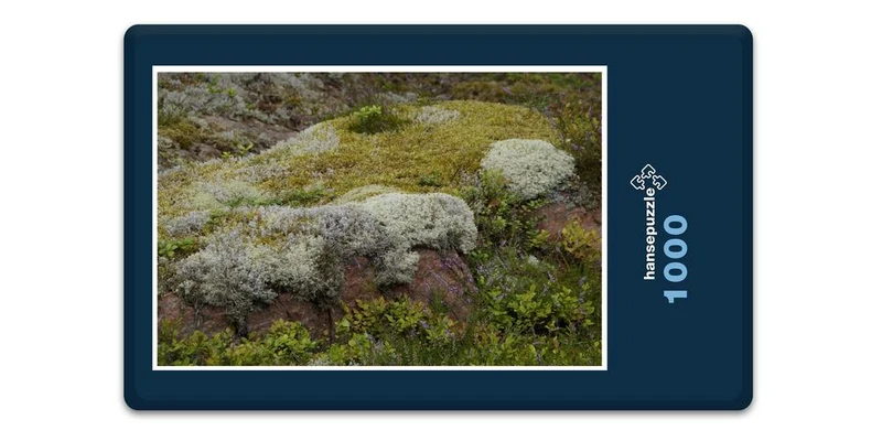 18380 Natur - Steinlandschaft Puzzle
