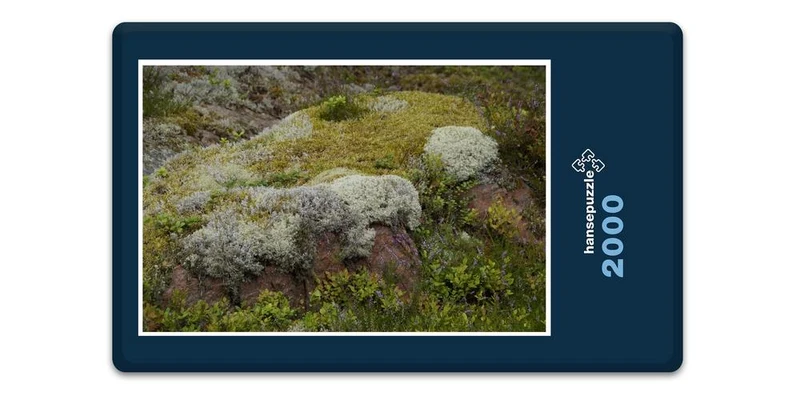 18380 Natur - Steinlandschaft Puzzle