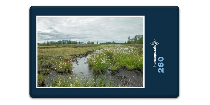 18374 Natur - Bachlauf Puzzle