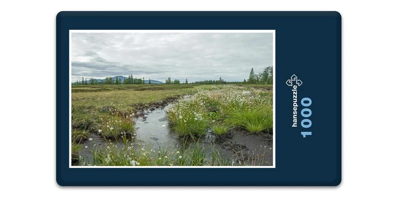 18374 Natur - Bachlauf Puzzle