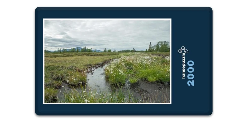 18374 Natur - Bachlauf Puzzle