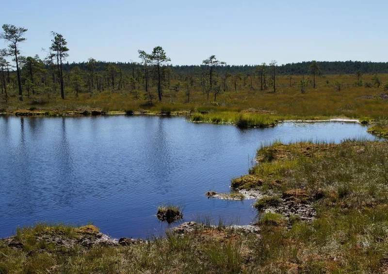 18372 Natur - Tundra Puzzle