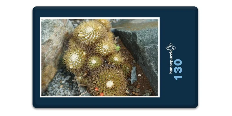 18348 Natur - Kaktus Puzzle