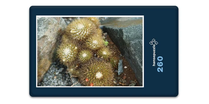 18348 Natur - Kaktus Puzzle