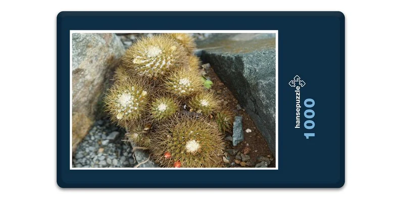 18348 Natur - Kaktus Puzzle