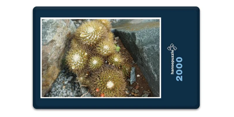 18348 Natur - Kaktus Puzzle