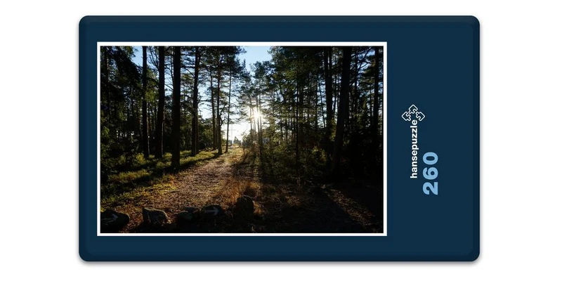 18387 Natur - Wald Puzzle