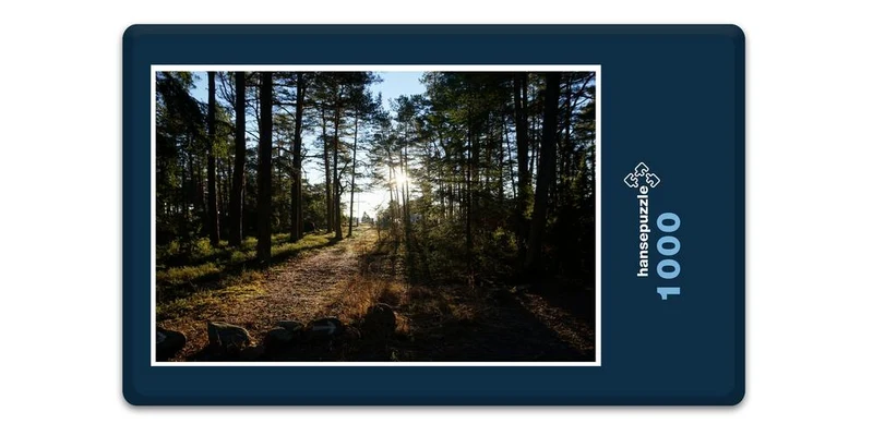 18387 Natur - Wald Puzzle
