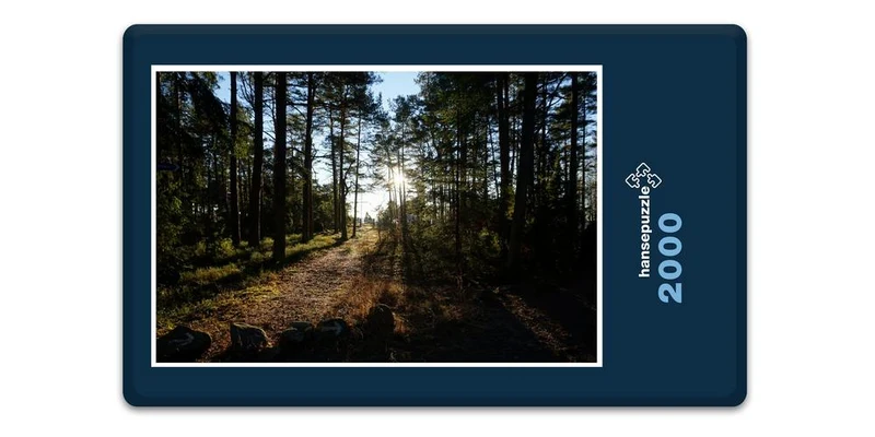 18387 Natur - Wald Puzzle