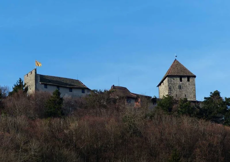 63526 Gebäude - Schloss Hohenklingen Puzzle