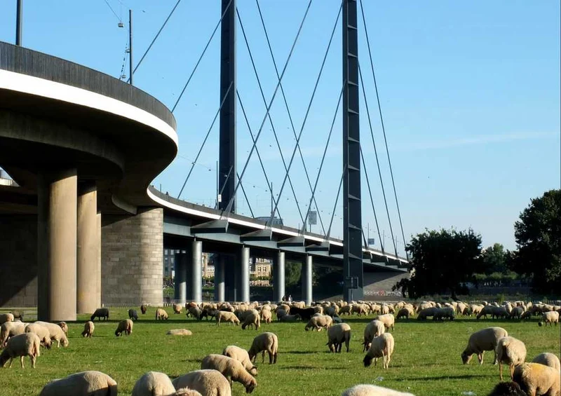 63539 Natur - Rheinbrücke Puzzle