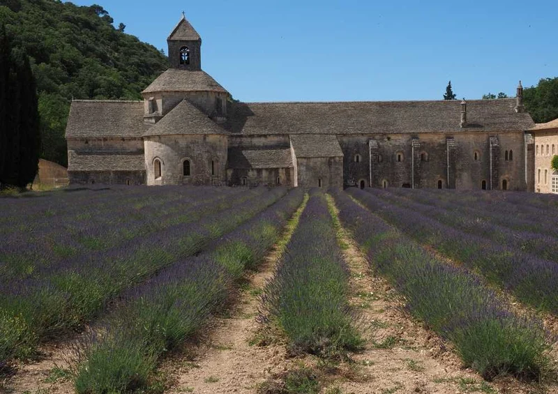 63555 Religion - Abbaye de Sénanque Puzzle