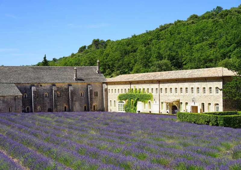 63563 Natur - Abbaye de Sénanque Puzzle