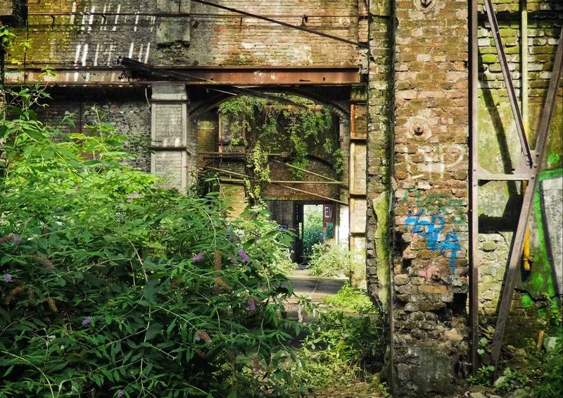 64220 Natur - Lost places Puzzle
