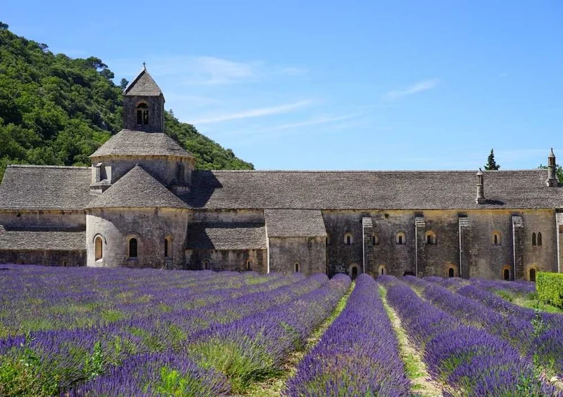 65279 Natur - Lavendel Puzzle