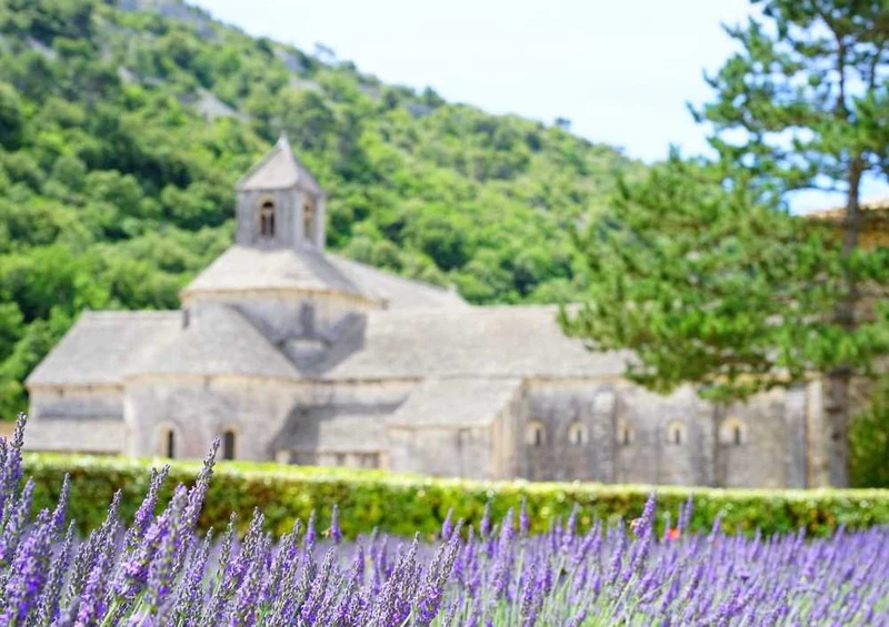 63607 Natur - Lavendel Puzzle