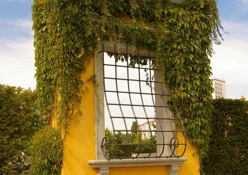 67046 Hintergründe - Garten Puzzle