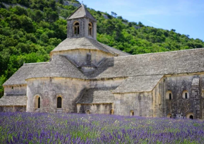 63715 Natur - Lavendel Puzzle
