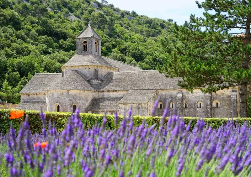 63778 Natur - Lavendel Puzzle