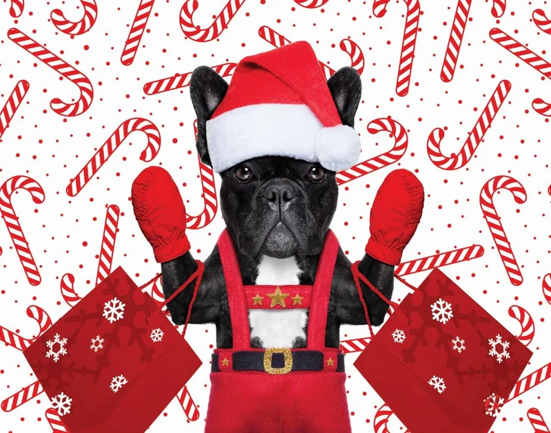 Jingle Time - Puppy with Mitts (100pcs)