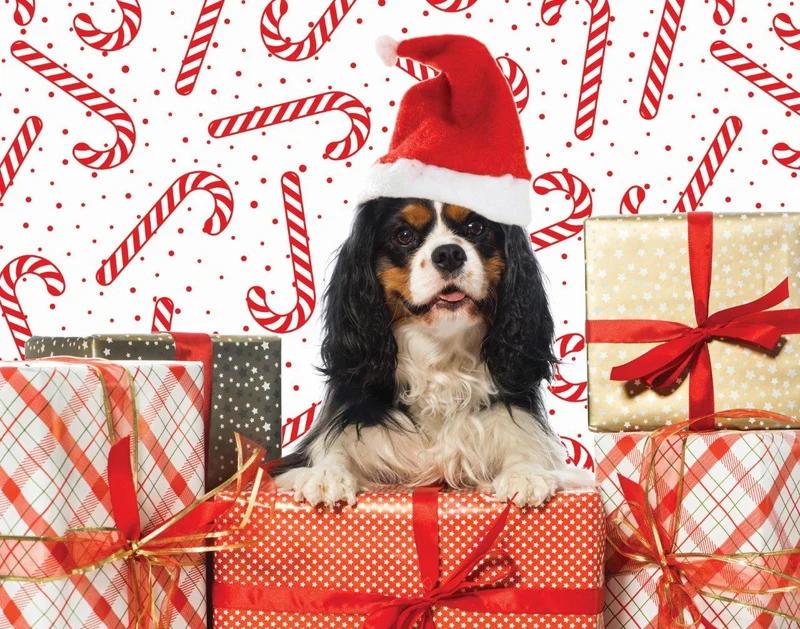 Jingle Time - Puppy with Presents (100pcs)