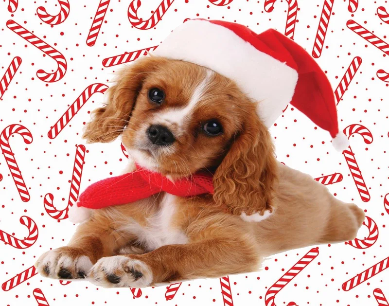 Jingle Time - Puppy with Scarf (100pcs)