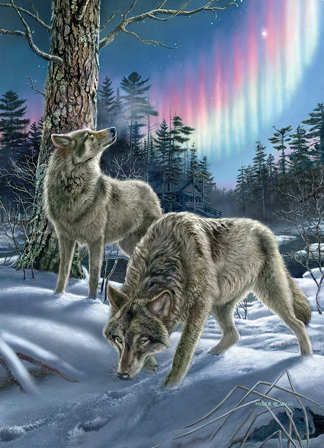 Northern Lights, James Meger (500pcs)