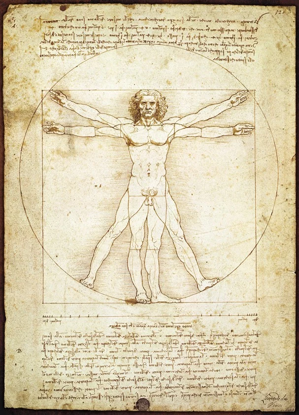 PFG The Vitruvian Man, Leonardo da Vinci (Usage/Used - PUZZLES FOR GOOD)