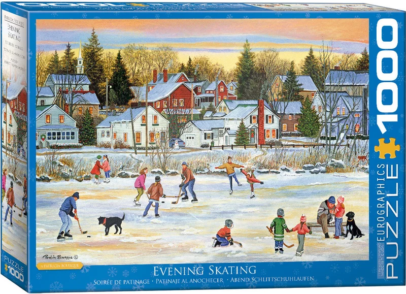 PFG Evening Skating, Patricia Bourque (Usage/Used - PUZZLES FOR GOOD)