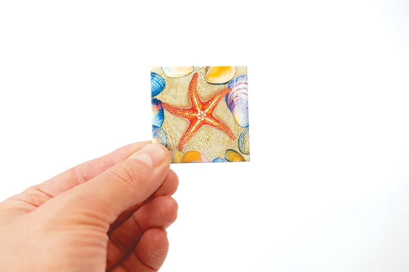 Magic Square Puzzle - Tidal Pool (49 tiles)