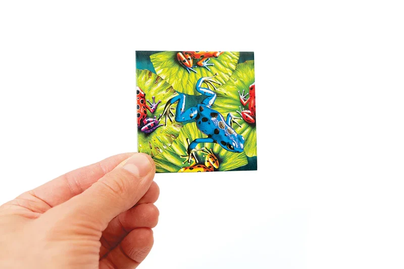 Magic Square Puzzle - FROGS (25 tiles)