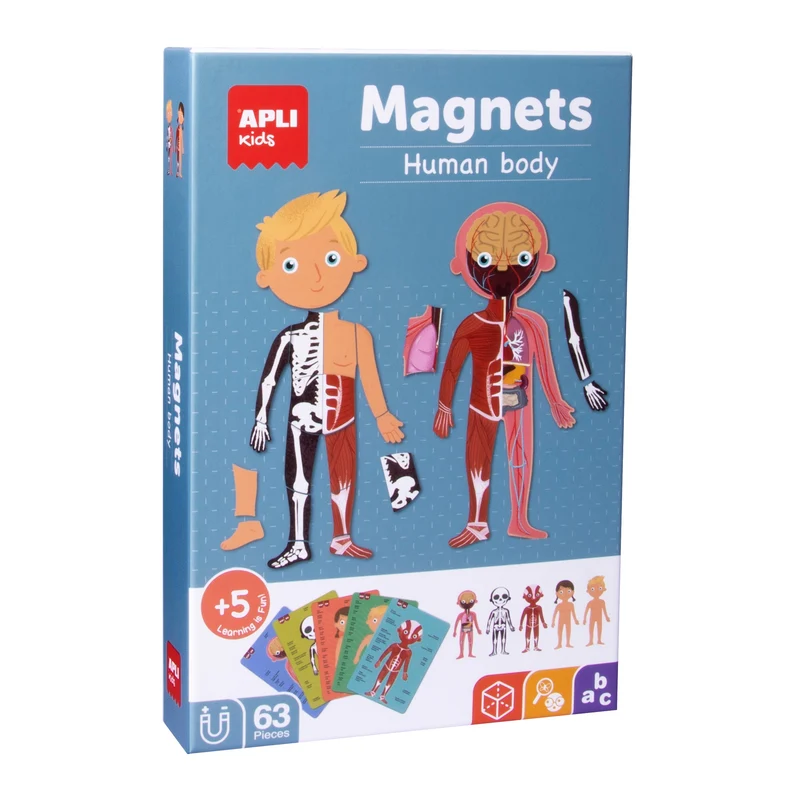 Magnetisches Puzzle – Der menschliche Körper