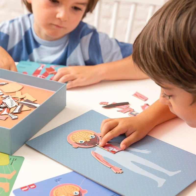 Magnetisches Puzzle – Der menschliche Körper