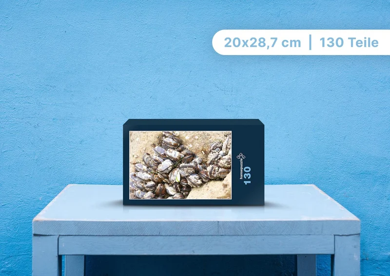 89827 Natur - Miesmuscheln Puzzle